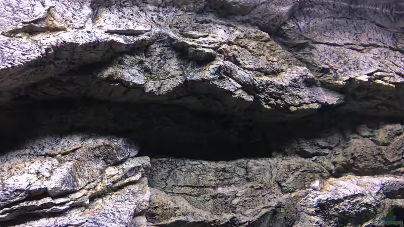 AR stone Alimar Rückwand von Purki (75)