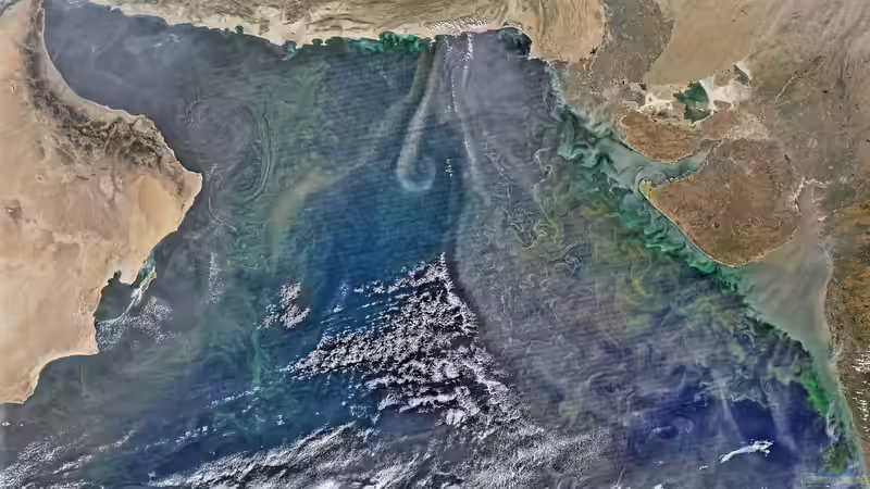 Arabisches Meer - Lebensraum zwischen Wüste, Monsun und Korallenriffen