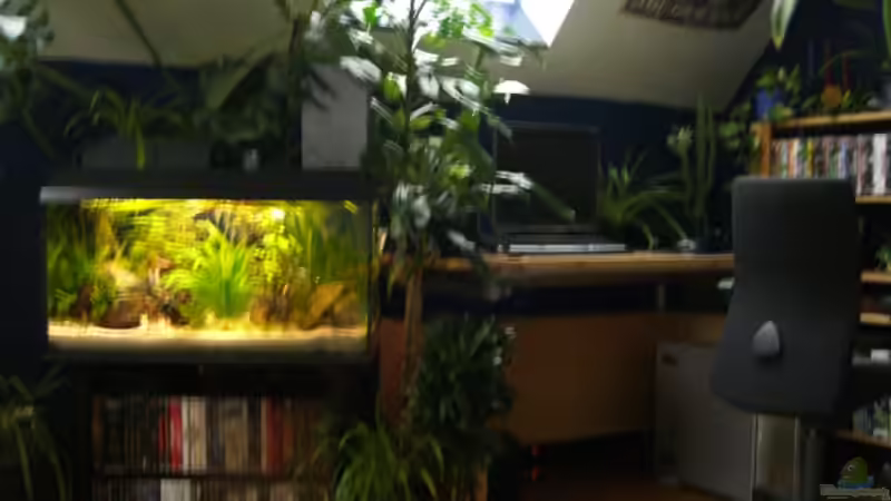 Arbeits-/Lernbereich ( hier wird der Kopf in viele kleine Stücke gesprengt. ) von Stefan Anhalt (11)