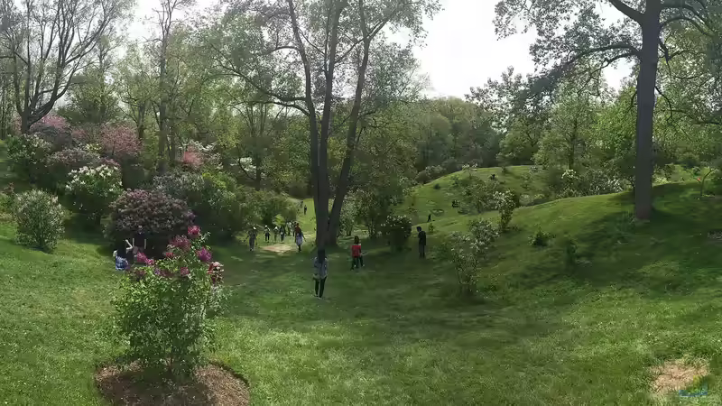 Arboretum - Alles, was du über diese besonderen Baumgärten wissen musst