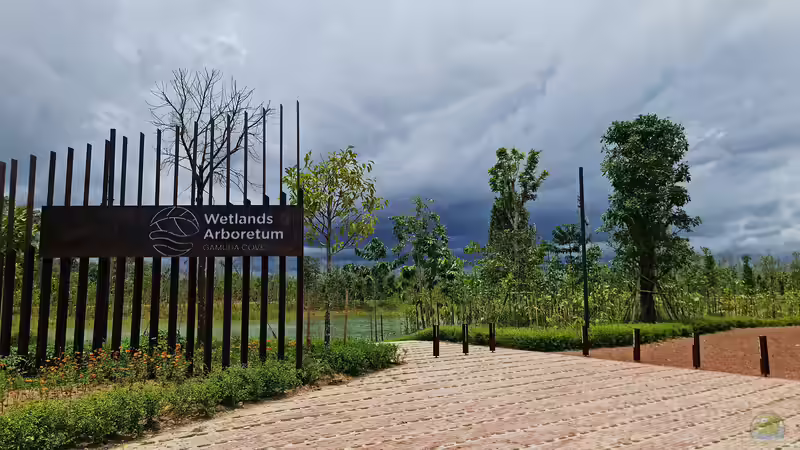 Arboretum - Alles, was du über diese besonderen Baumgärten wissen musst