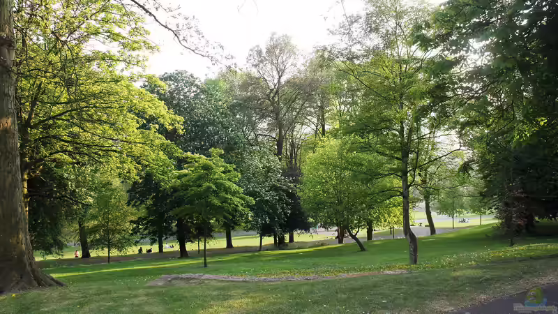 Arboretum - Alles, was du über diese besonderen Baumgärten wissen musst