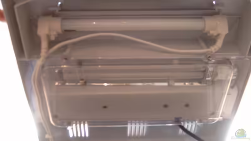 Arcadia T5 6 Watt von Jerome Homann (13)