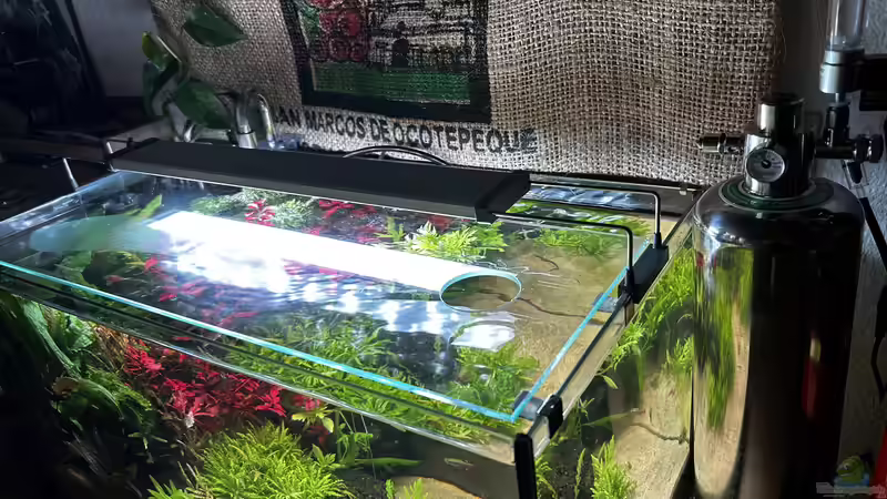 Arka MyScape CO2 2.4L von Thilo (20)