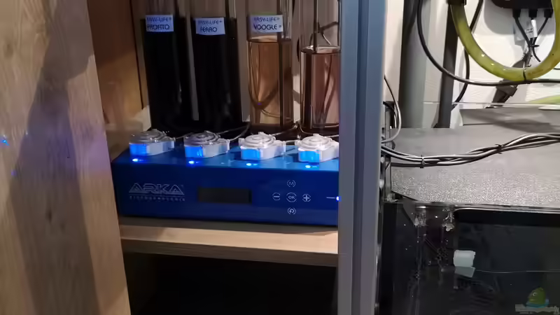 Arka von Der Küstenjunge (31)