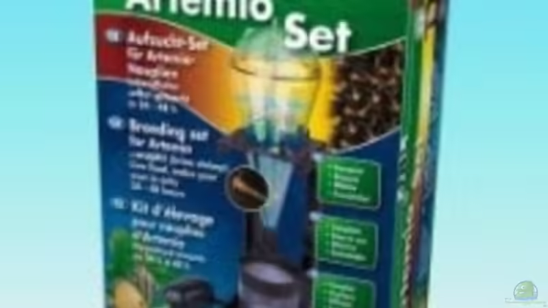 Artemia Futter von Salmlerdream (28)