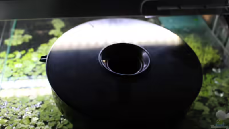 Artemienzucht. Funktioniert ziemlich gut, das Teil. von LaFrieda (16)