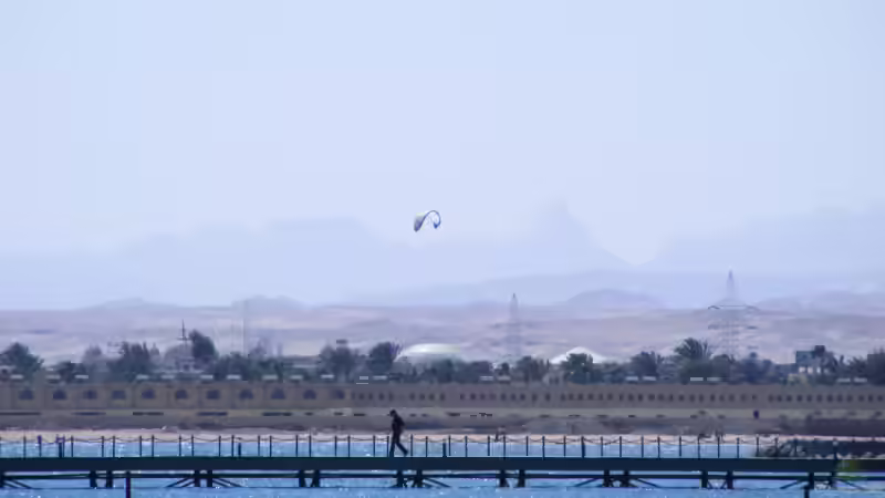 Artenschutz Teil 1 von Falk