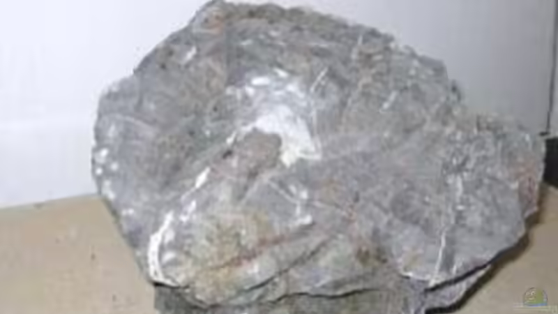 Asiatisches Seegebirge von Ismail Korkmaz (13)