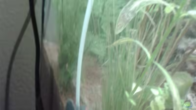 Auaströmer der Eheim Airpump 100 von Reinhold Berk (19)