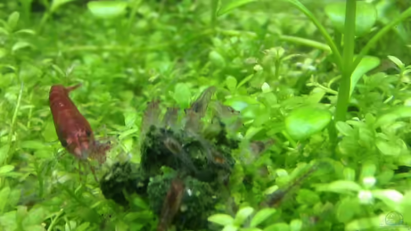 auch der Nachwuchs darf mal ran :-) von Achim (11)