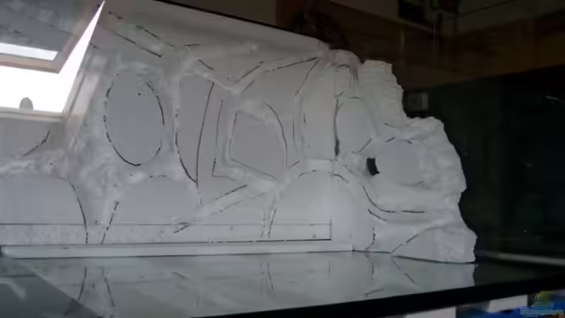 auch der Rückwandbau von Mikey (15)