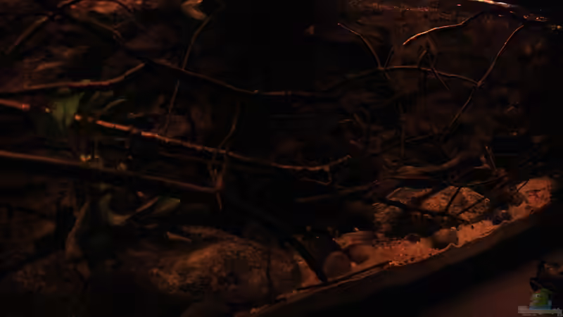 Auch dies ist ein Blick .... von Florian Bandhauer (11)