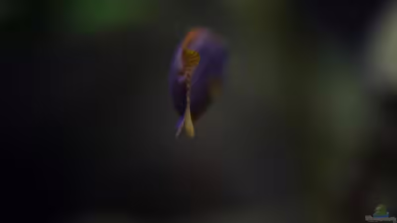 auch ein rücken kann entzücken von maggo 28 (39)