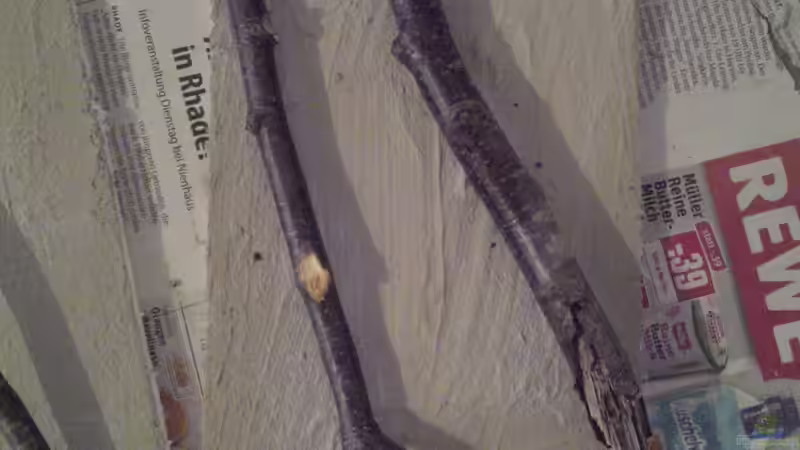 Auch für die Seitenwand habe ich ein paar schöne ??ste gefunden. von Patrick Scheffer (18)