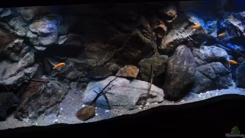 Auch hier andere Ansicht des Licht im Becken seitlich aufgenommen von Florian Bandhauer (14)