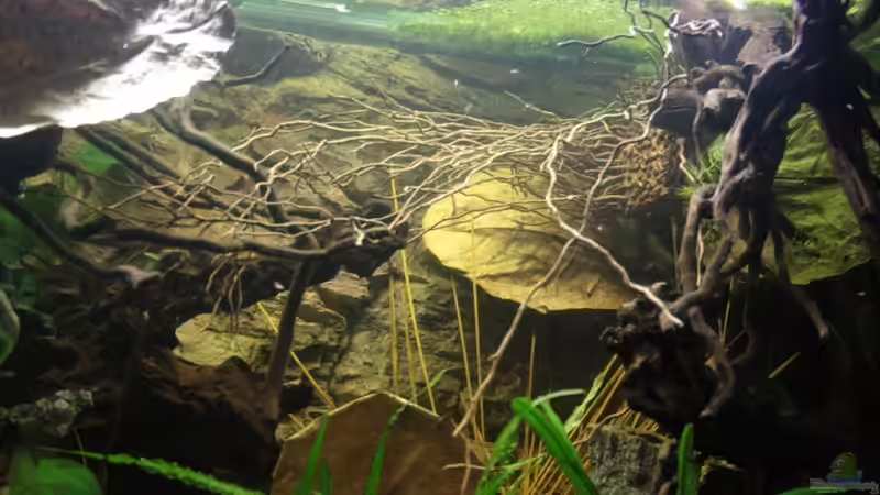 Auch hier Blick in die Mitte des Beckens ,leicht nach oben fotografiert ! von Florian Bandhauer (10)
