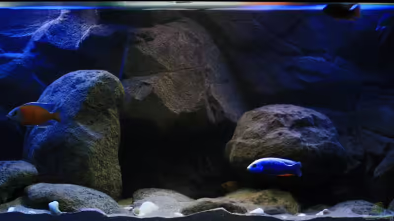 Auch hier eine Ansicht mit Beleuchtungssimulationen von Florian Bandhauer (3)