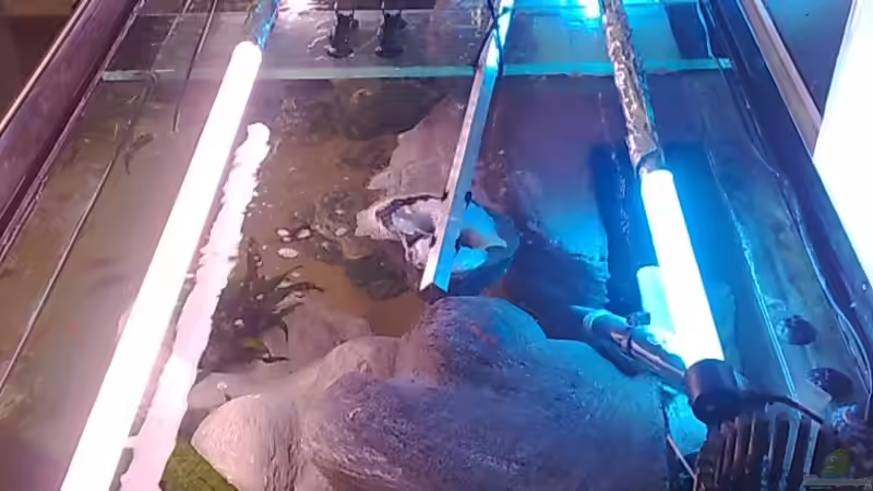 Auch hier wurde wieder verdunkelt von Marco O. (2)