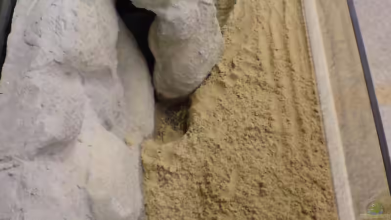Auf den frischen Beton kam Sand, welcher dann noch ordentlich angefeuchtet wurde (Sprühflasche) von timme (10)