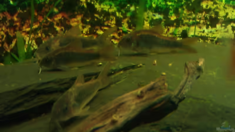 Auf der Sonnenterrasse von Pulle (17)