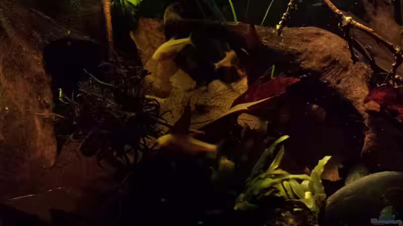 auf der Suche.. von NRW (23)