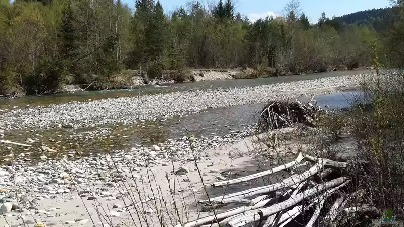 Auf der Suche nach neuen Wurzeln von Bermuda 3eck (17)