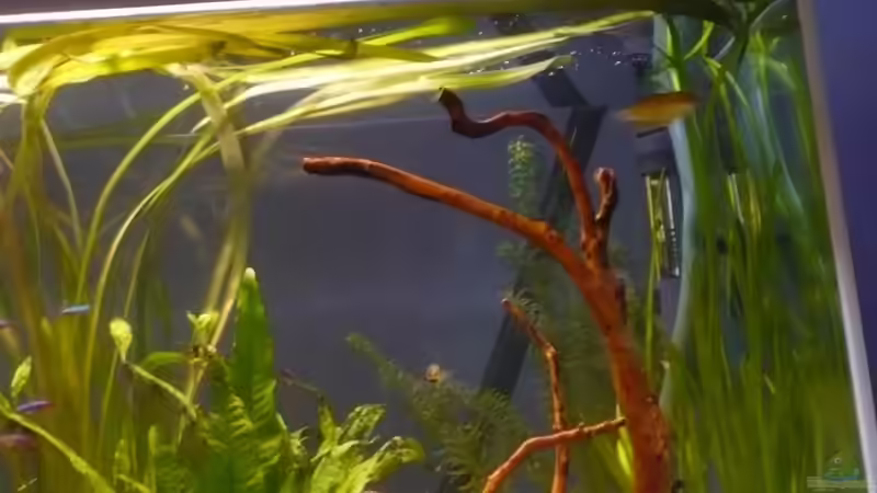 auf einen Blick von Dito (4)