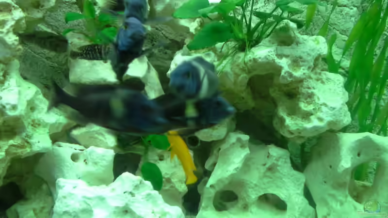 auf einen Haufen von AndreLeipzig (36)