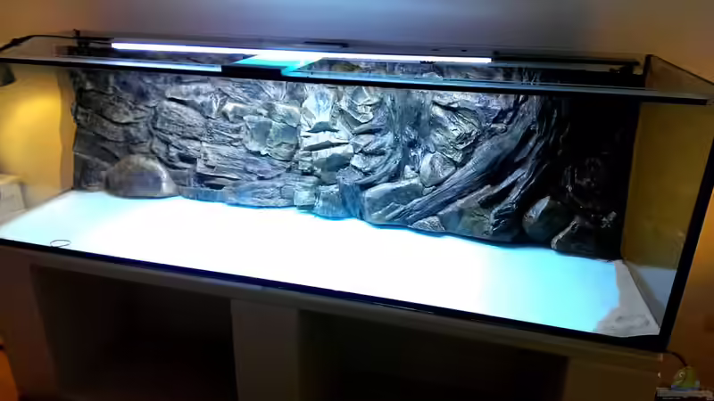 Aufbau: Das Becken steht, Rückwand ist drin von timo-on-keys (10)