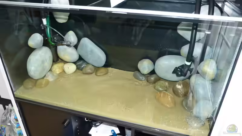 Aufbau 30.07.15 von ~Marco~ (45)