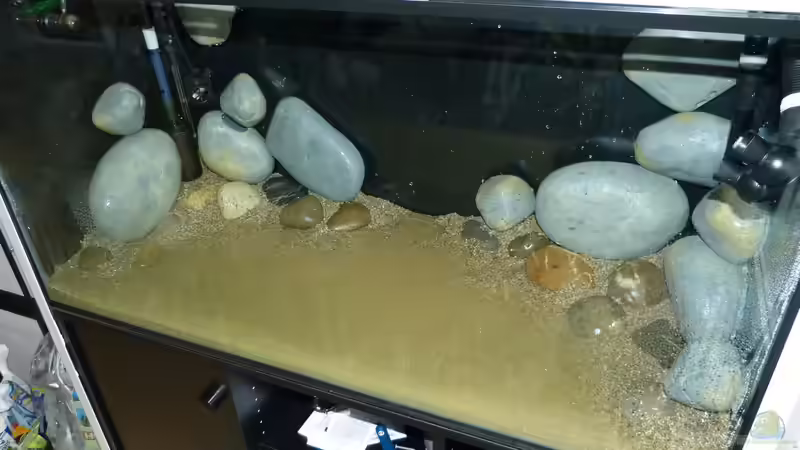 Aufbau 30.07.15 von ~Marco~ (46)