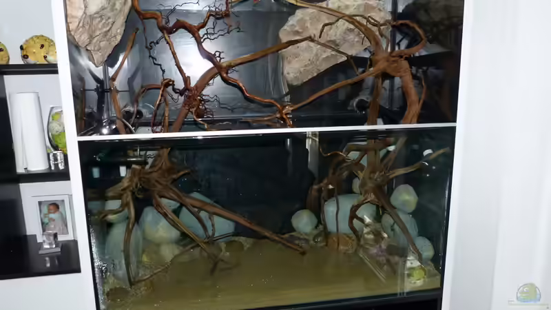 Aufbau 30.07.15 von ~Marco~ (47)