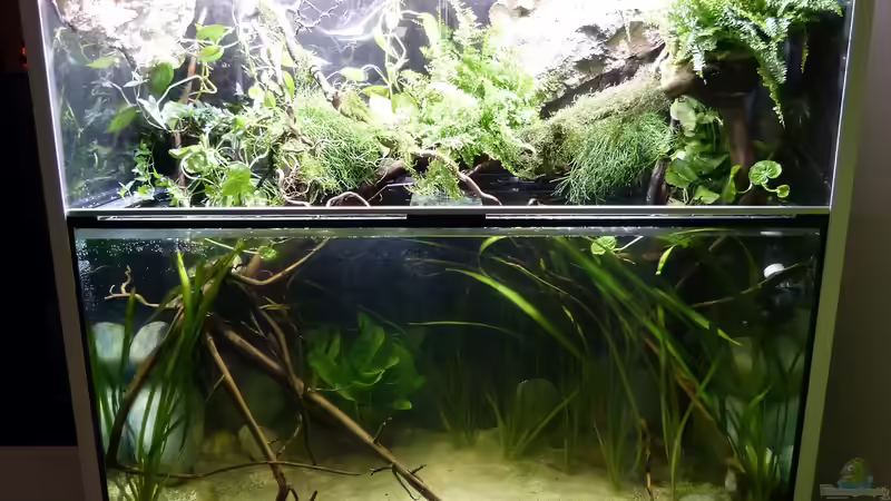 Aufbau 31.07.15 von ~Marco~ (50)