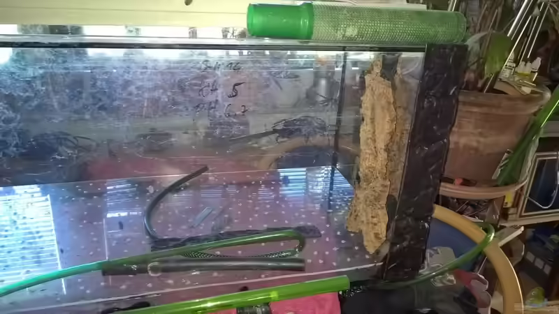 Aufbau bodenfilder von Lars 300l 1. (22)