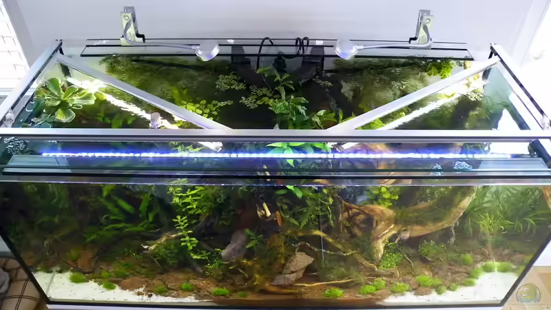 Aufbau der Beleuchtung und des HMF von bergfrau (47)