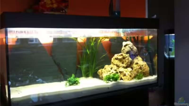 Aufbau der erste von René Cremer (4)