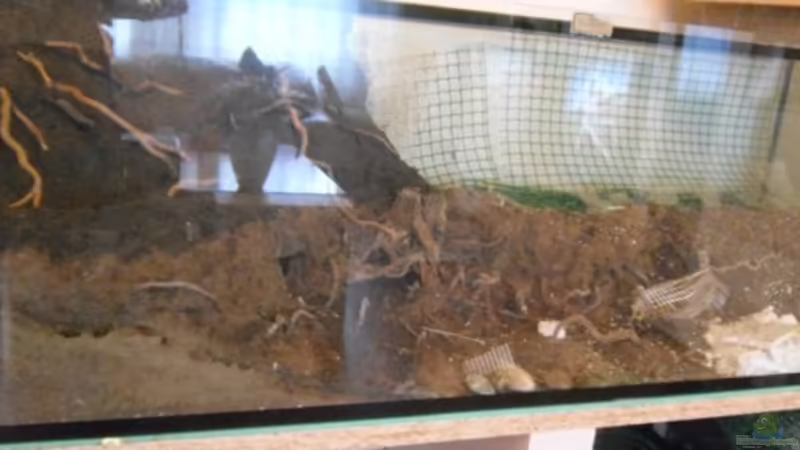 Aufbau der restlichen Rückwand von gkr123 (24)