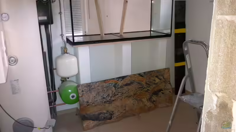 Aufbau des Beckens 12.2102 von bergstrasse (3)