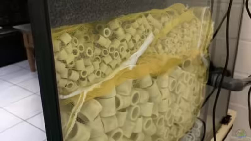 Aufbau Filterkammer von Oliver Bartels (7)