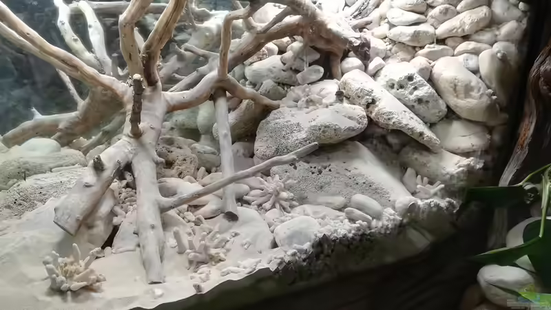 Aufbau im Trockenen von Bermuda 3eck (13)