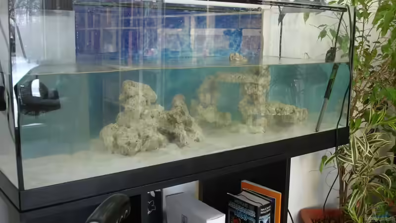 Aufbau im Wasser von Jane Vogeler (14)