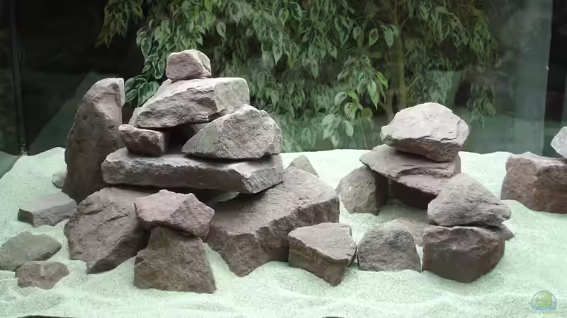 Aufbau links mit Sand von Roadrunner 68 (10)