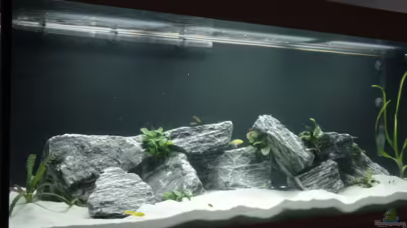 Aufbau mit Angel Rock Steinen von Klaus Muckenheim (2) (6) (10)