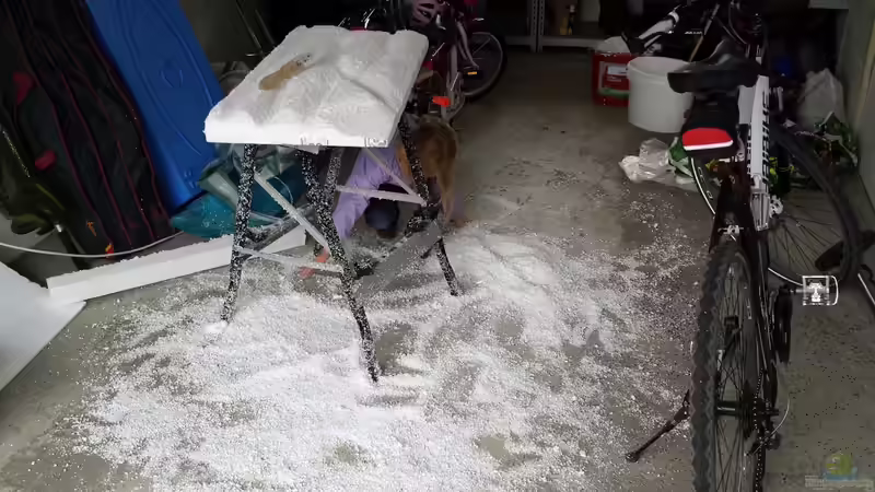 Aufbau Rückwand von SoNiC (7)