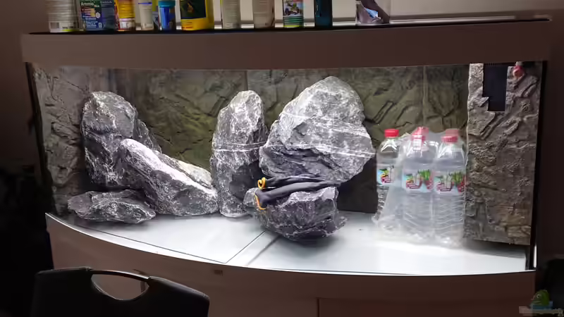 Aufbau Tag 1, Flaschen kommen natürlich noch raus  von Stefan von Oettingen (15)