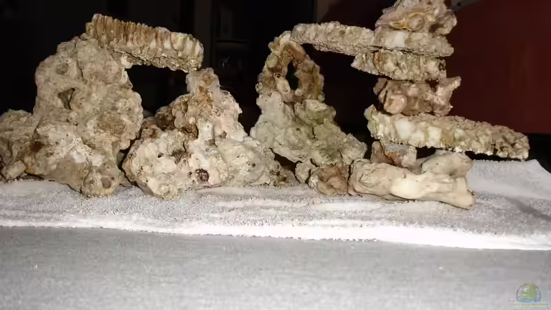 Aufbau Teil 4 von Jane Vogeler (13)