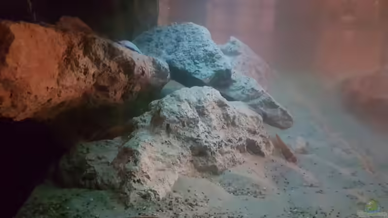 Aufbau von Charmin (20)