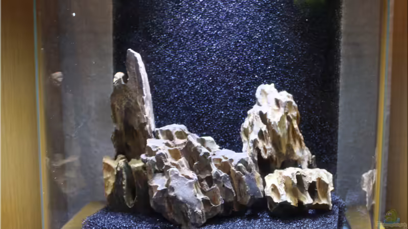 Aufbau von hotwheelz (18)