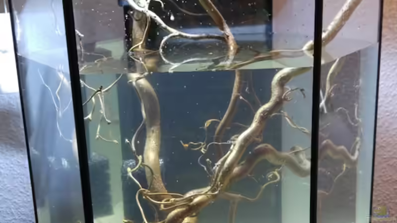 Aufbau von Kuller (4)